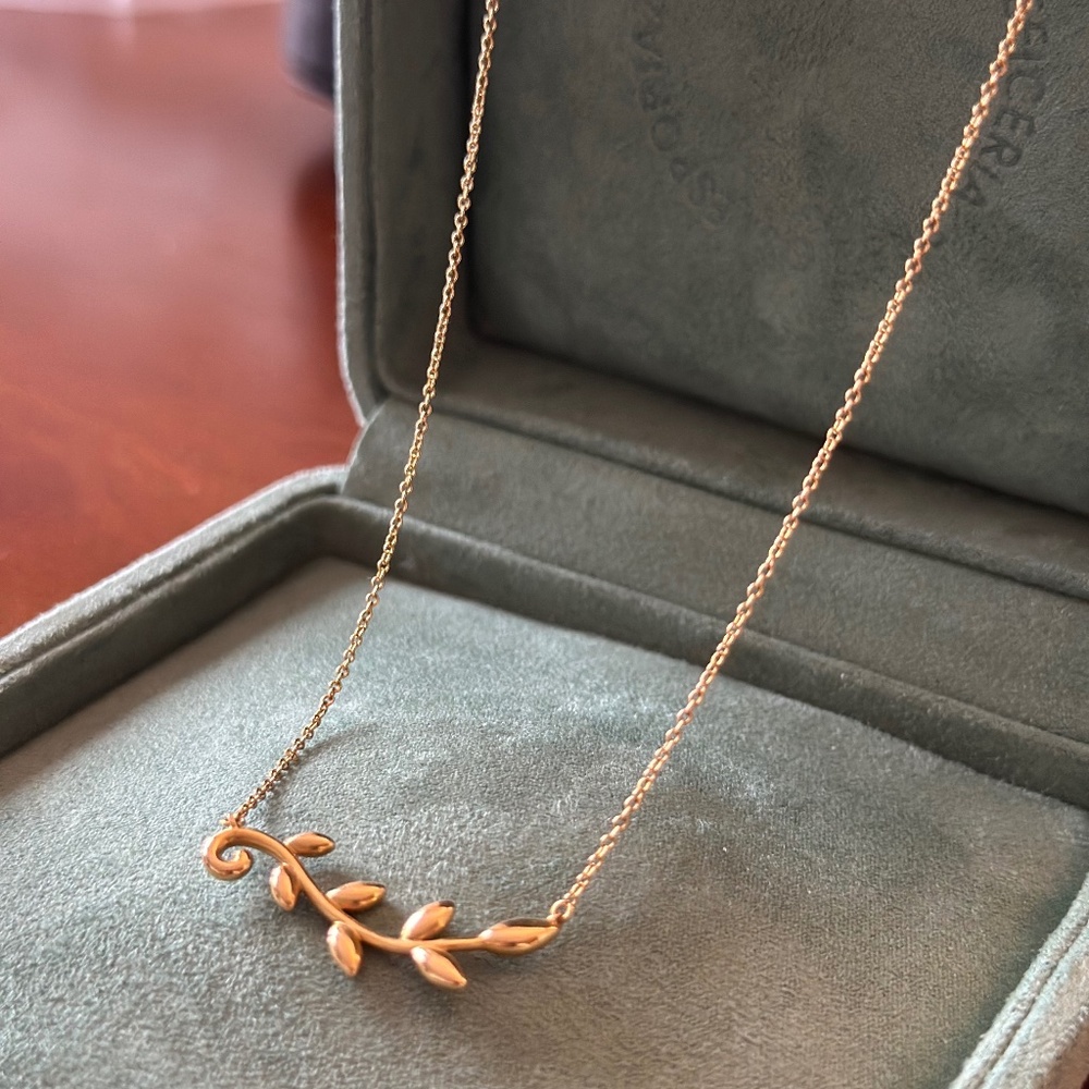 Paloma Picasso Tiffany Necklace